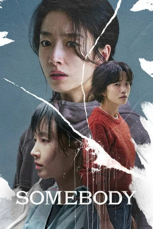 Somebody 2025 Hindi - Korean Dual Audio WEB-DL | Full Movie